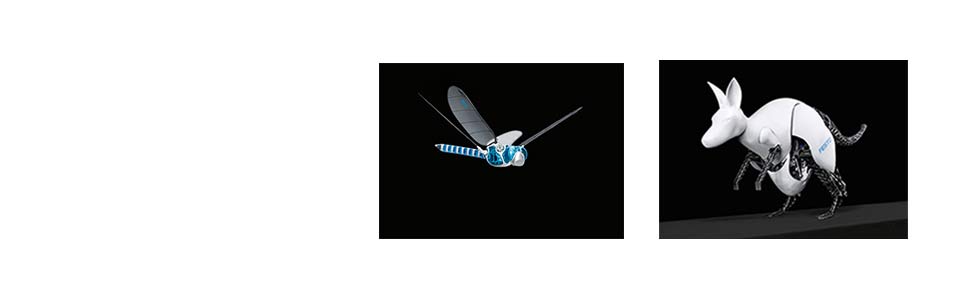 آزمایشگاه رباتیک و مکاترونیک festo